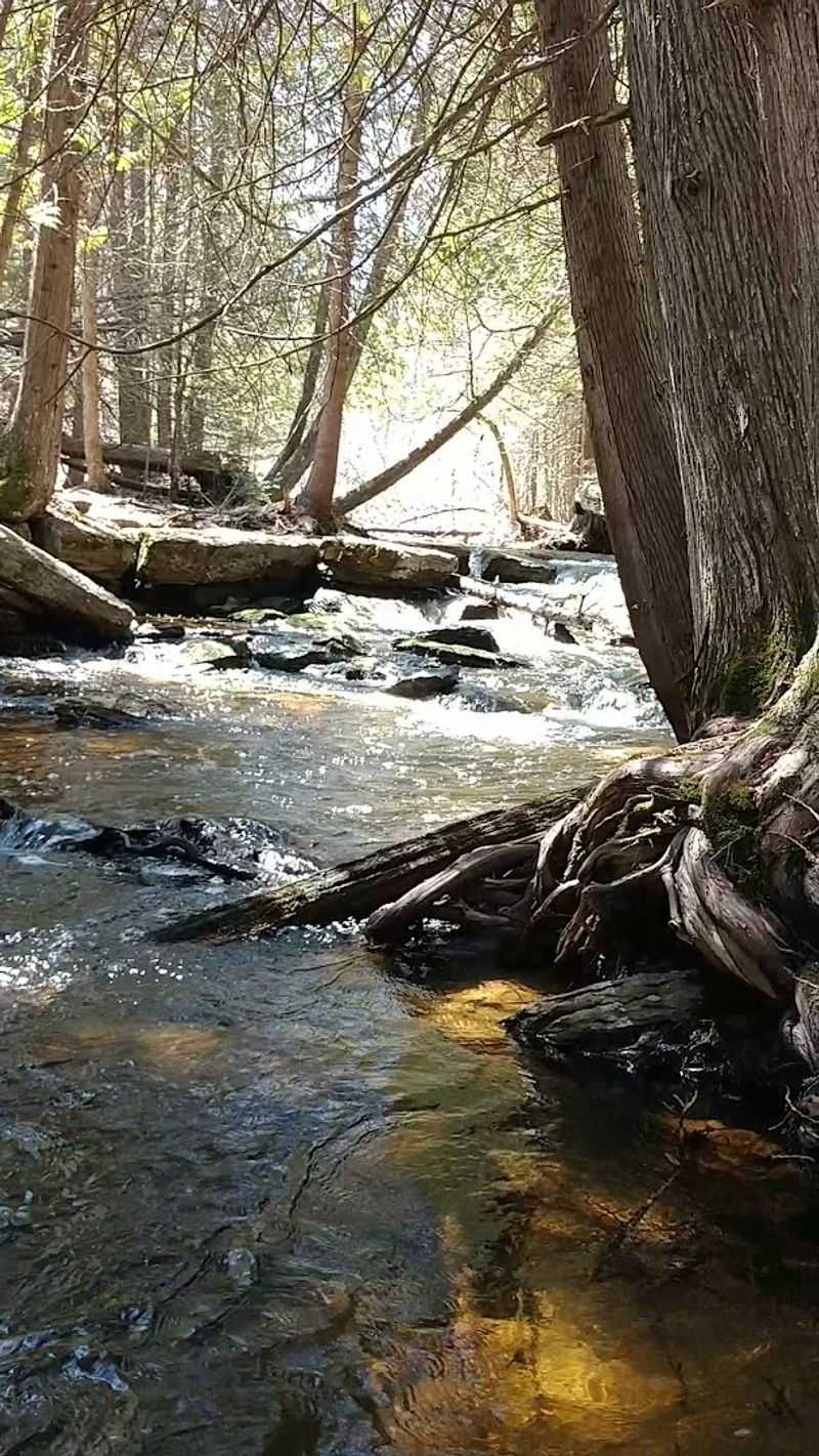 Underground River, Onaway area