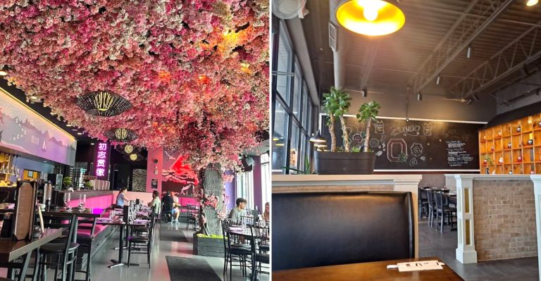 10 Ohio Food Spots With Dumplings And Bao Buns Worth Seeking Out In 2026