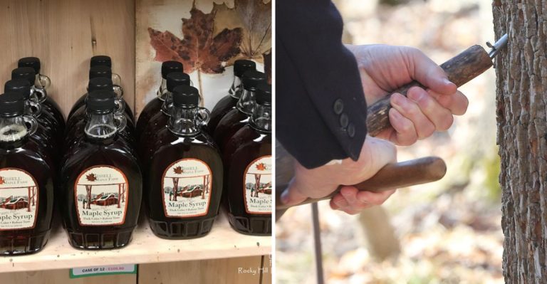 10 Ohio Maple-Syrup Festivals Serving Pancake Breakfasts