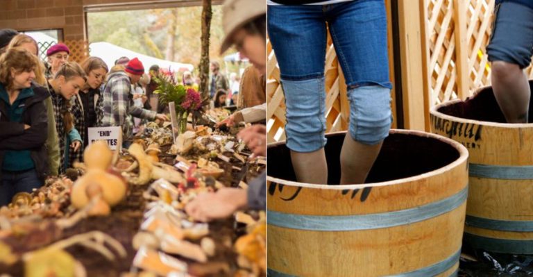 10 Oregon Fall Festivals You’ll Visit For The Food And Small-Town Charm