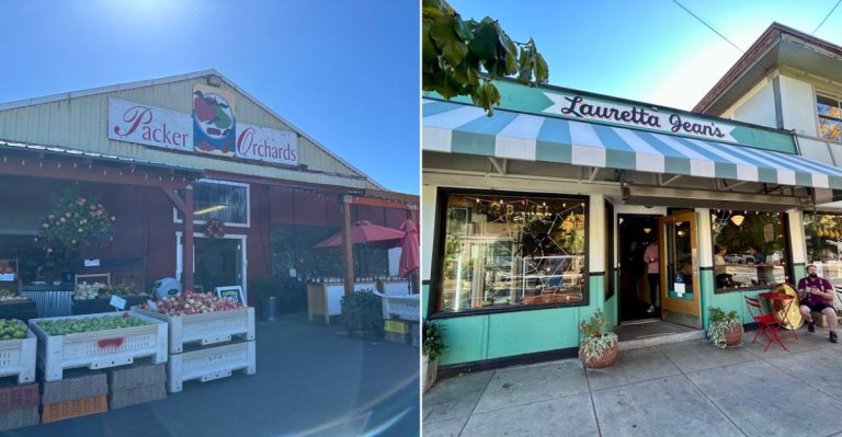 10 Oregon Marionberry Dessert Stops Where Pie, Jam, And Cobbler Taste Like Summer