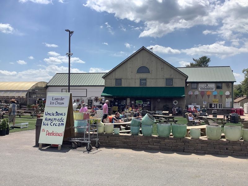 Shady Brook Farm, Yardley