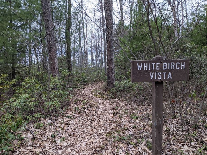 Black Forest Trail Primitive Campsites, Tiadaghton State Forest