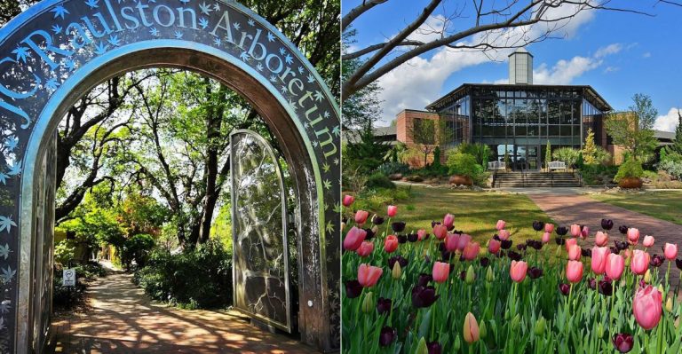 10 Public Gardens In North Carolina That Hit Their Prettiest Stretch In June