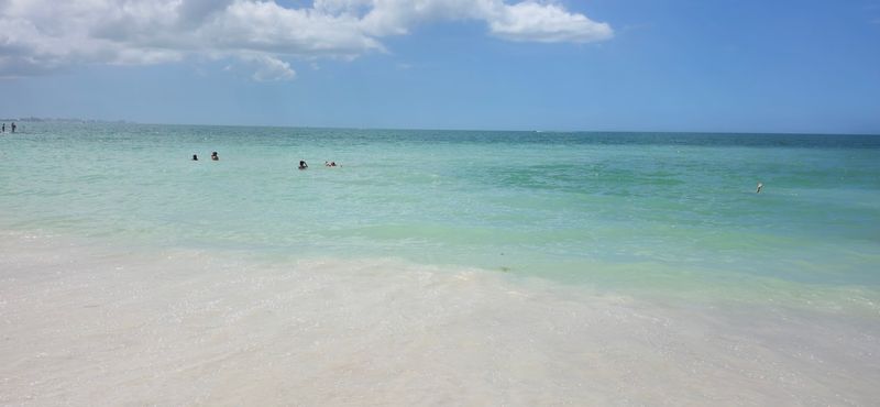 Honeymoon Island State Park