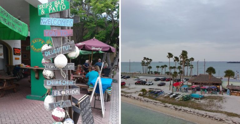 10 Reasons To Adore Dunedin, Florida