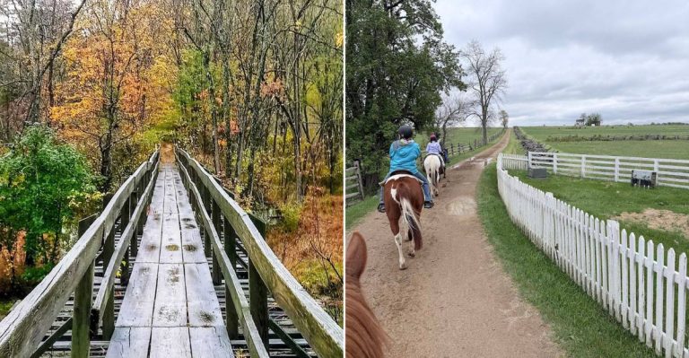 10 Scenic Pennsylvania Horseback Riding Trails To Explore This Summer