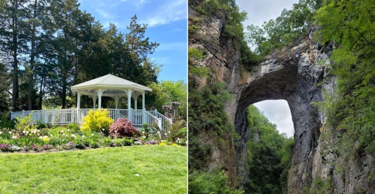 10 Scenic Picnic Spots In Virginia Are Made For Long Summer Afternoons