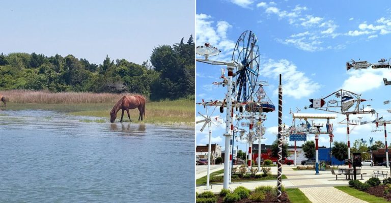 10 Secret North Carolina Day Trips That Make Every Visitor Feel At Home
