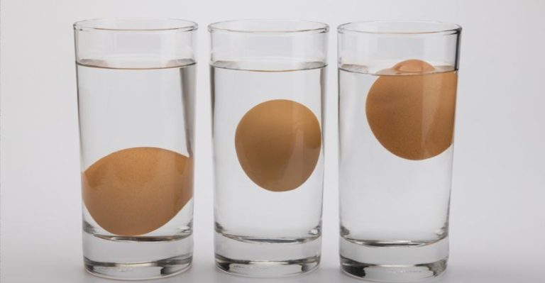 10 Signs Eggs Are Not Safe To Eat