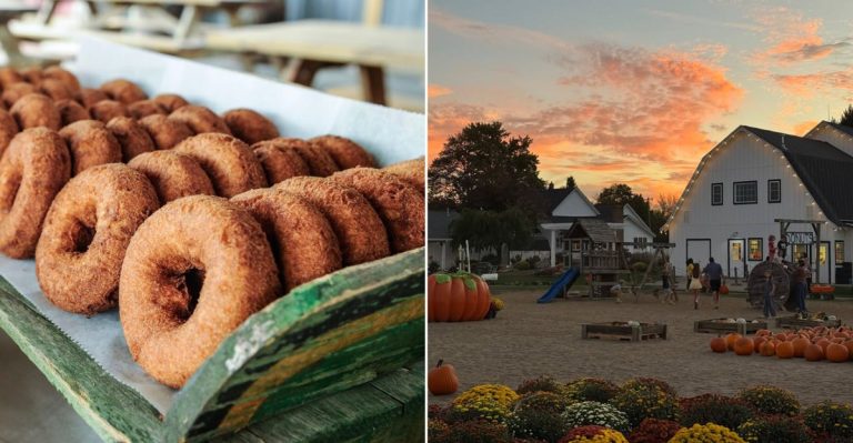 Amazing Small-Town Michigan Fall Donut Shops