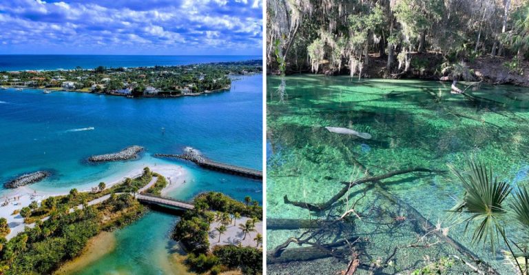 10 Snorkeling Spots In Florida That Are Too Incredible To Ignore