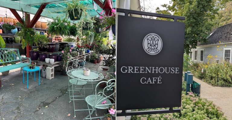 10 Stunning Cafes In Illinois To Brighten Your 2026 Afternoon