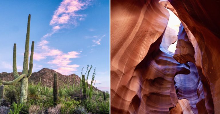 10 Stunning Desert Landscapes To Visit In Arizona This Year