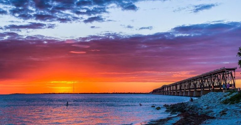10 Stunning Stargazing Spots in Florida For 2026 (Dark-Sky Parks, Beaches & Islands)