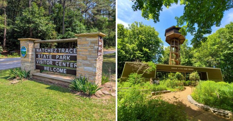 10 Tennessee State Parks With Food Spots So Delicious You’ll Stay Longer