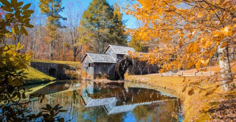 10 Underrated Fall Road Trips Through Virginia That Show Off Stunning Foliage