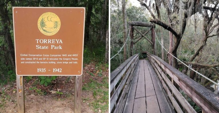 10 Underrated Hiking Trails In Florida With Suspension Bridges You’ll Remember
