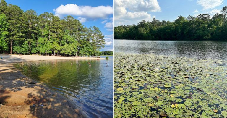 10 Underrated State Park Beaches In Georgia Perfect For A Low-Key Summer Day