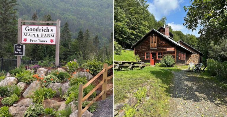 10 Vermont Maple Stores Where Pancake Plans Get Out Of Hand