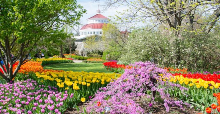 10 Whimsical Gardens In Ohio That Will Transport You To A Storybook World