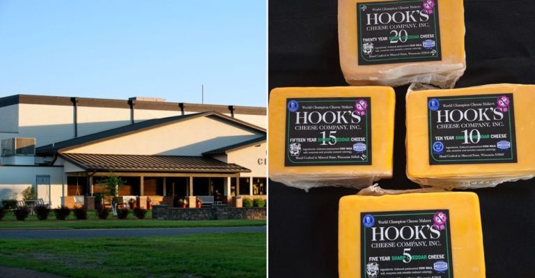 10 Wisconsin Cheese Stops Off The Highway (And 5 Absolutely Stole The Show)