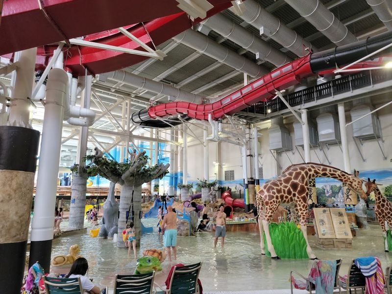 Tiko's Watering Hole and the Toddler-Friendly Zones