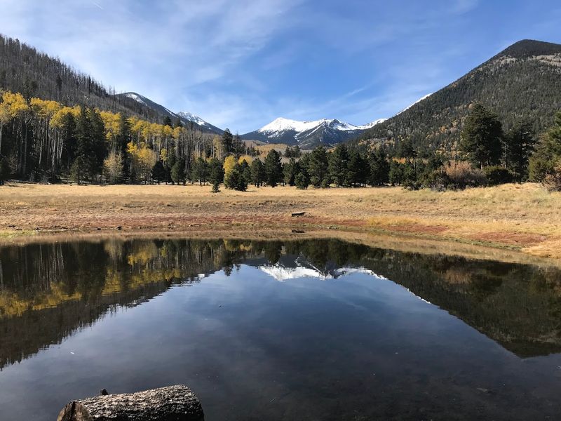 Lockett Meadow Campground, Flagstaff