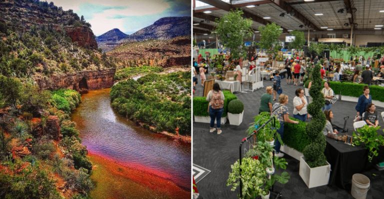 11 Arizona Festivals To Catch This May Before Spring Slips Away