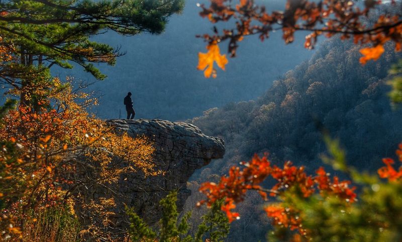 Whitaker Point (Hawksbill Crag) Trail
