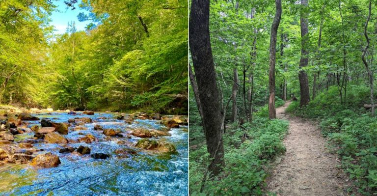 11 Beautiful Hiking Trails In Arkansas You Must Explore In 2026