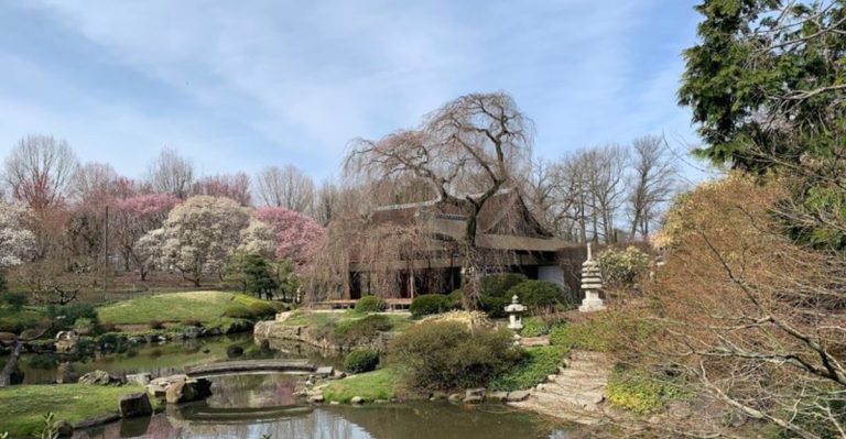 11 Beautiful Pennsylvania Locations To Enjoy Cherry Blossoms And Redbuds This Season