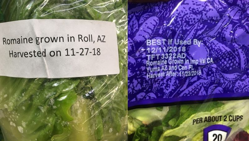 Romaine Nightmare: Yuma, Arizona (2018)