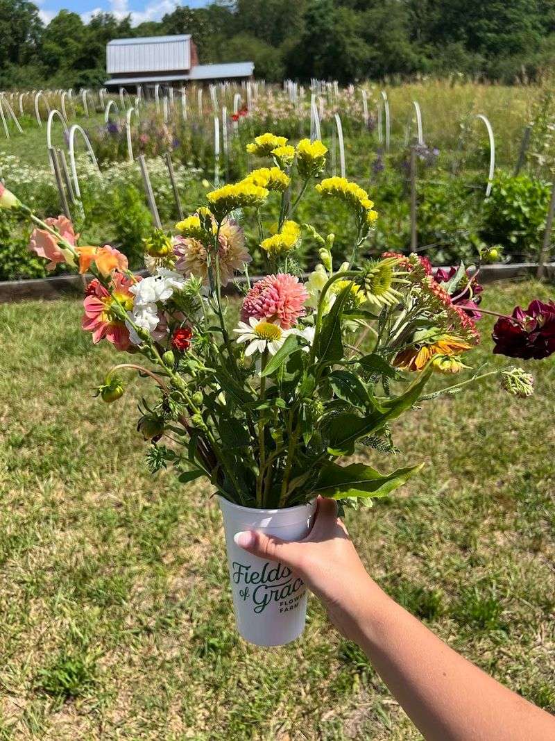 Fields Of Grace Flower Farm At Colorado Pumpkin Patch