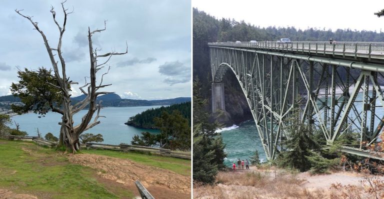 11 Breathtaking And Affordable Day Trips In Washington You’ll Be Talking About For Years