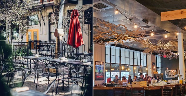 11 Buzz-Worthy Restaurants In Champaign, Illinois You Need To Try In 2026