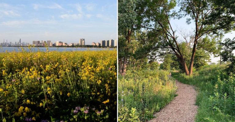 11 Chicago Parks That Bloom In The Most Unexpected Ways