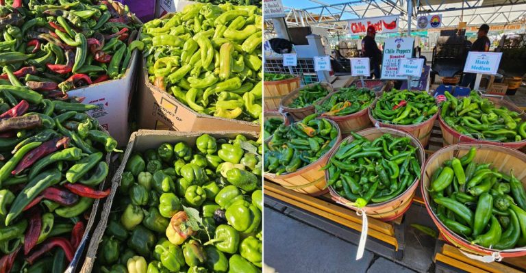11 Colorado Green Chile Roasts That Smell Like Fall Saturdays