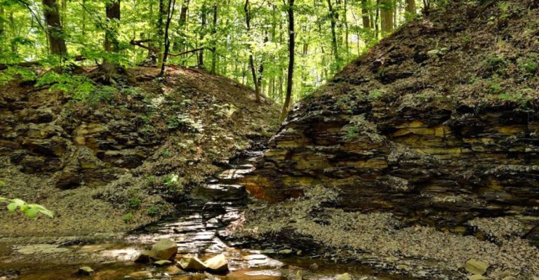 11 Easy Ohio Hikes Even Beginners Can Conquer