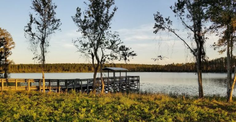 11 Florida Campgrounds Hidden So Well Even Locals Do Not Know About Them