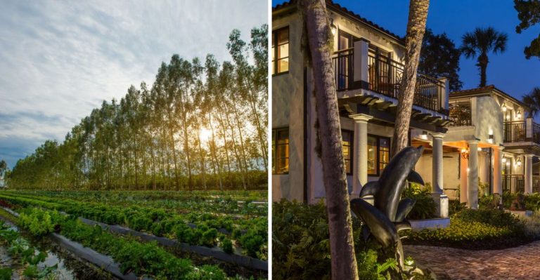 11 Florida Farm-To-Table Restaurants You Need To Try In 2026