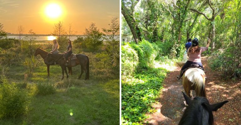 11 Florida Ranches Where Horseback Riding Feels Like The Ultimate Peaceful Escape