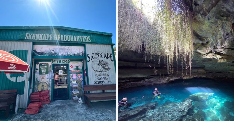 11 Florida Spots That Sound Fake But Are 100% Real