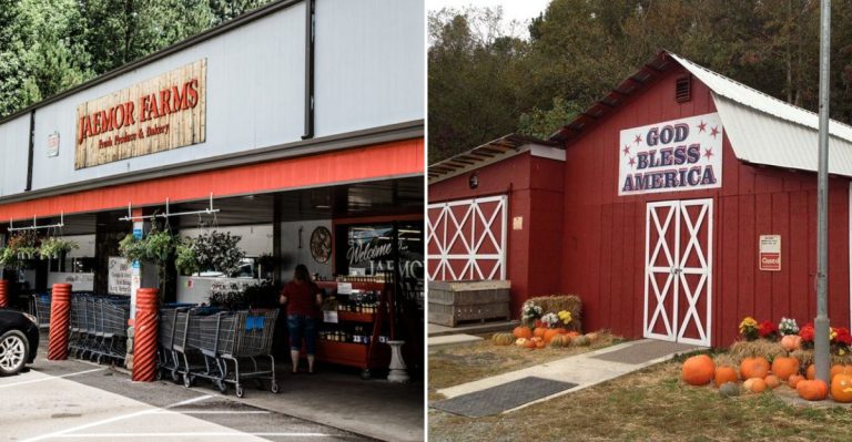 11 Georgia Mountain Bakeries To Visit For Fried Apple Pies This Halloween