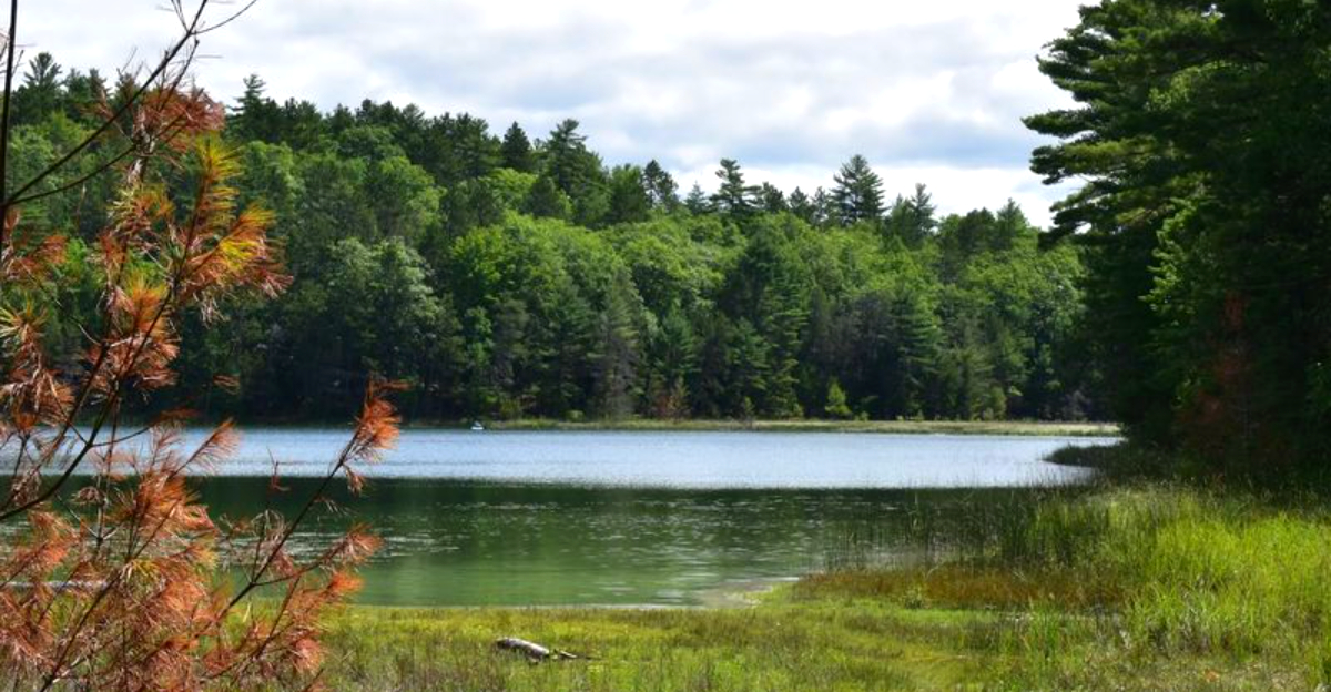 The beauty Traverse City area nature