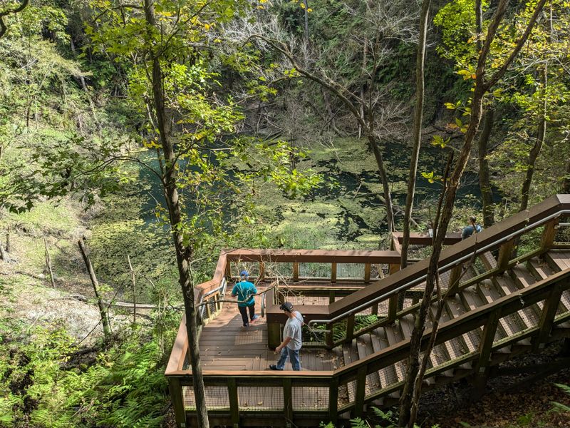 Devil's Millhopper Geological State Park – Gainesville