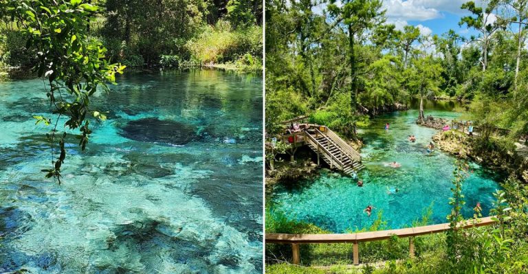 11 Hidden North Florida Spots That Feel Truly Enchanting
