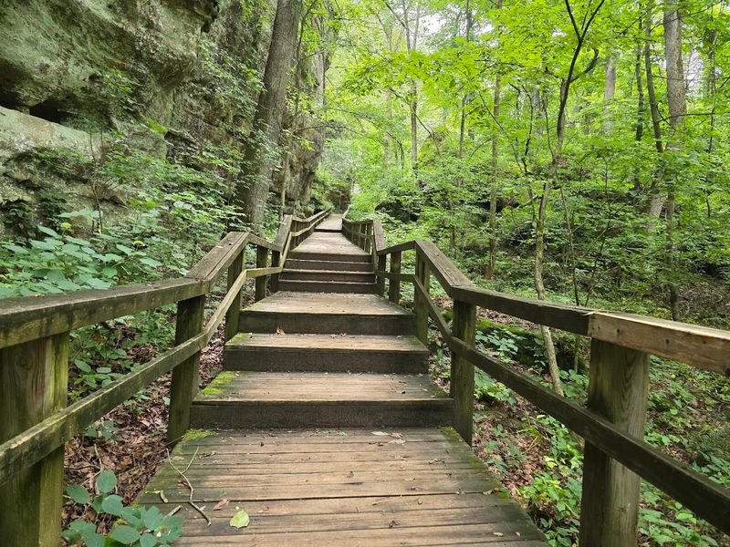 Ferne Clyffe State Park, Goreville
