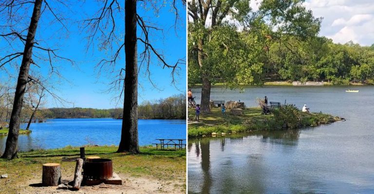 11 Illinois Picnic Spots That Are Perfect For April Weather