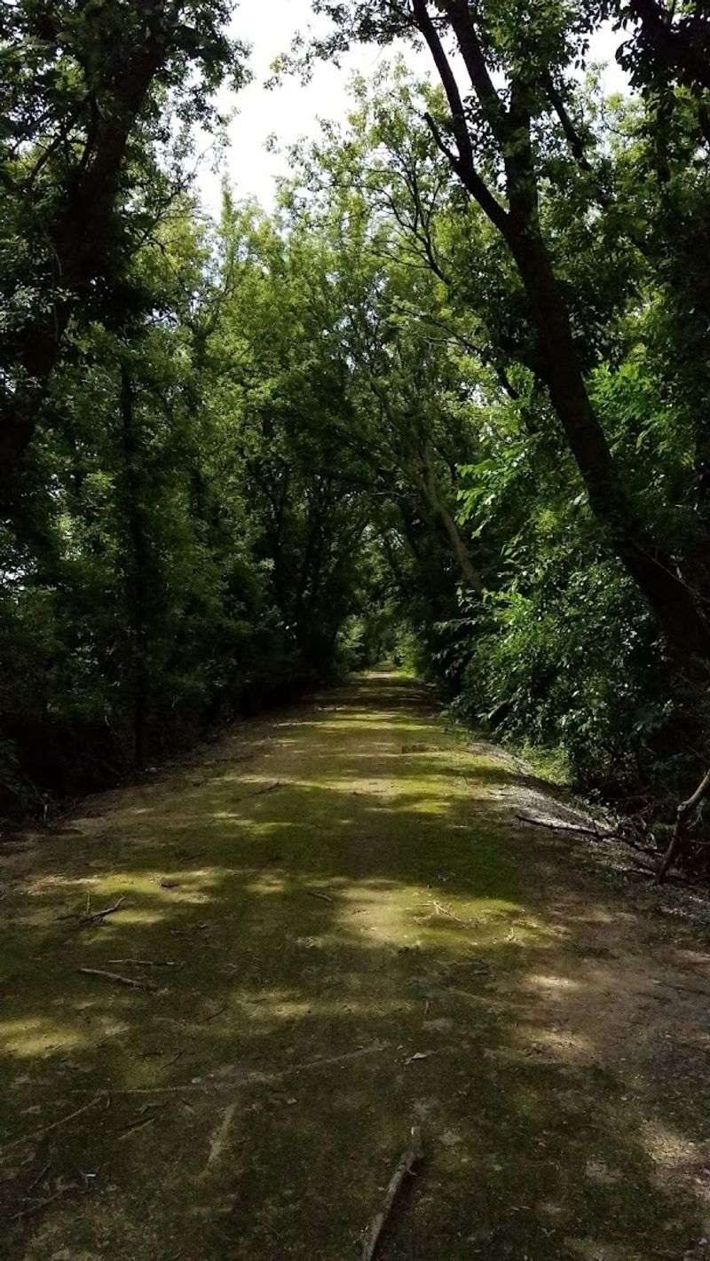 11 Illinois Rail-Trail Towns Made For A Relaxed 2026 Escape